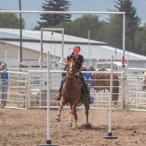 Meet your Posher, Sierra